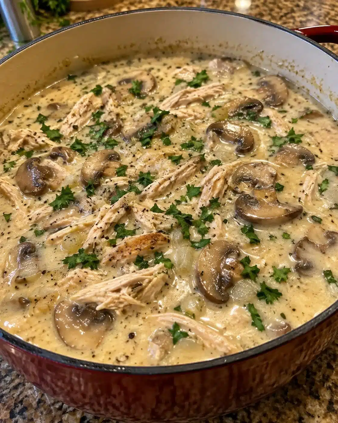 Rotisserie Chicken Mushroom Soup